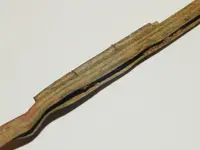 DSCN8678.webp