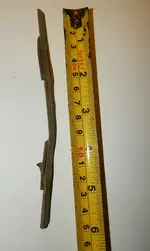 DSCN8679.webp