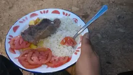 lunch.webp