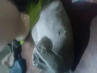 20171118_014831.webp