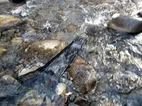 IMG_20171204_135348355.webp