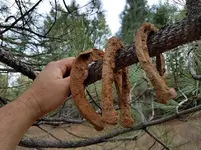 20171230_143234.webp