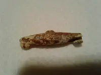 Lead_thing2[1].webp