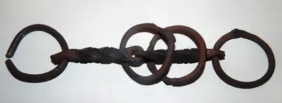 DSCN8504.webp