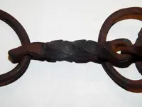 DSCN8506.webp