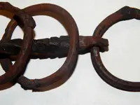 DSCN8508.webp