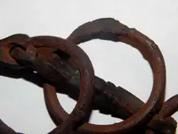 DSCN8510.webp