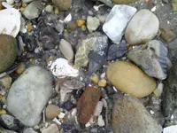 1227171044.webp
