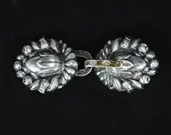 CloakClasp.webp