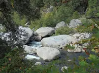 DSC00075.webp