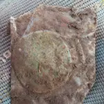 20171202_110645.webp 20171202_110645.webp