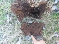 20180131_163830.webp