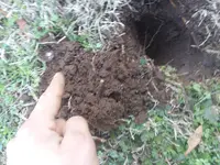 20180131_171611.webp