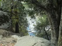 DSC00076.webp