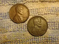 12 TV Woods and O Wheats.webp