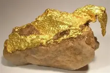 Pocket gold 2.webp