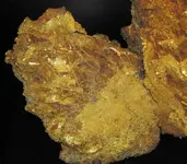 Pocket gold 3.webp