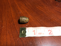 ImageUploadedByTreasureNet.com1516241647.101919.webp