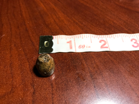 ImageUploadedByTreasureNet.com1516241665.712965.webp