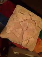 ImageUploadedByTreasureNet.com1513119635.176793.webp