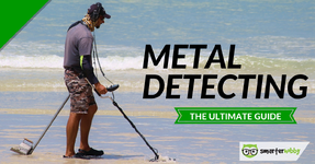 Metal Detectoing.webp