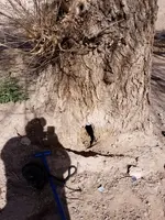 20180201_114620.webp 20180201_114620.webp