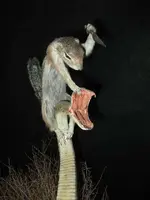 snake.webp