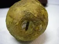 weight_radio-trailing-wire-antenna-weight_Model-WT7A_topview_slotted-brass-plug.webp