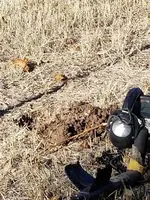 20171212_143522.webp
