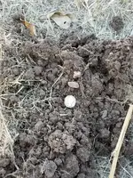 20171212_143532.webp
