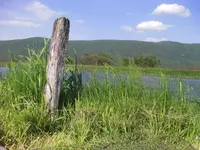 photostudio_1513994222654.webp