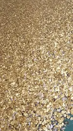 20180117_181759.webp