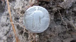 standing quarter 014.webp