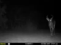 5 point.webp