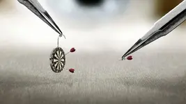 success-by-design.webp