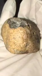 Meteorite.webp