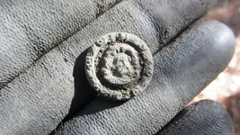 cool looking button 003.webp