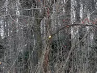 K1600_DSCN7263.webp