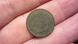 tails  1883 IH penny 002.webp