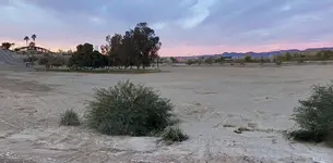 sand.webp
