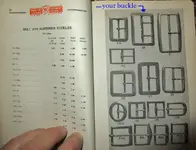 bucklev.webp