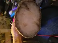 20171007_070043.webp
