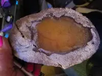20171007_070054.webp