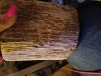 20171007_070038.webp