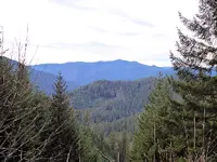 Umpqua1A.webp