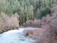 Umpqua5A.webp