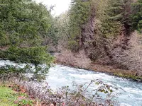 Umpqua7A.webp