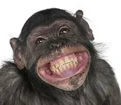 D0026B54-983B-4BE3-B95E-983B3457F5F2.webp