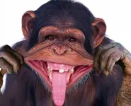 F31471CE-2A3D-4D12-8EE5-D3995689873F.webp