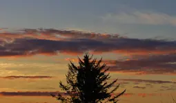 2-1 sunset 004.webp
